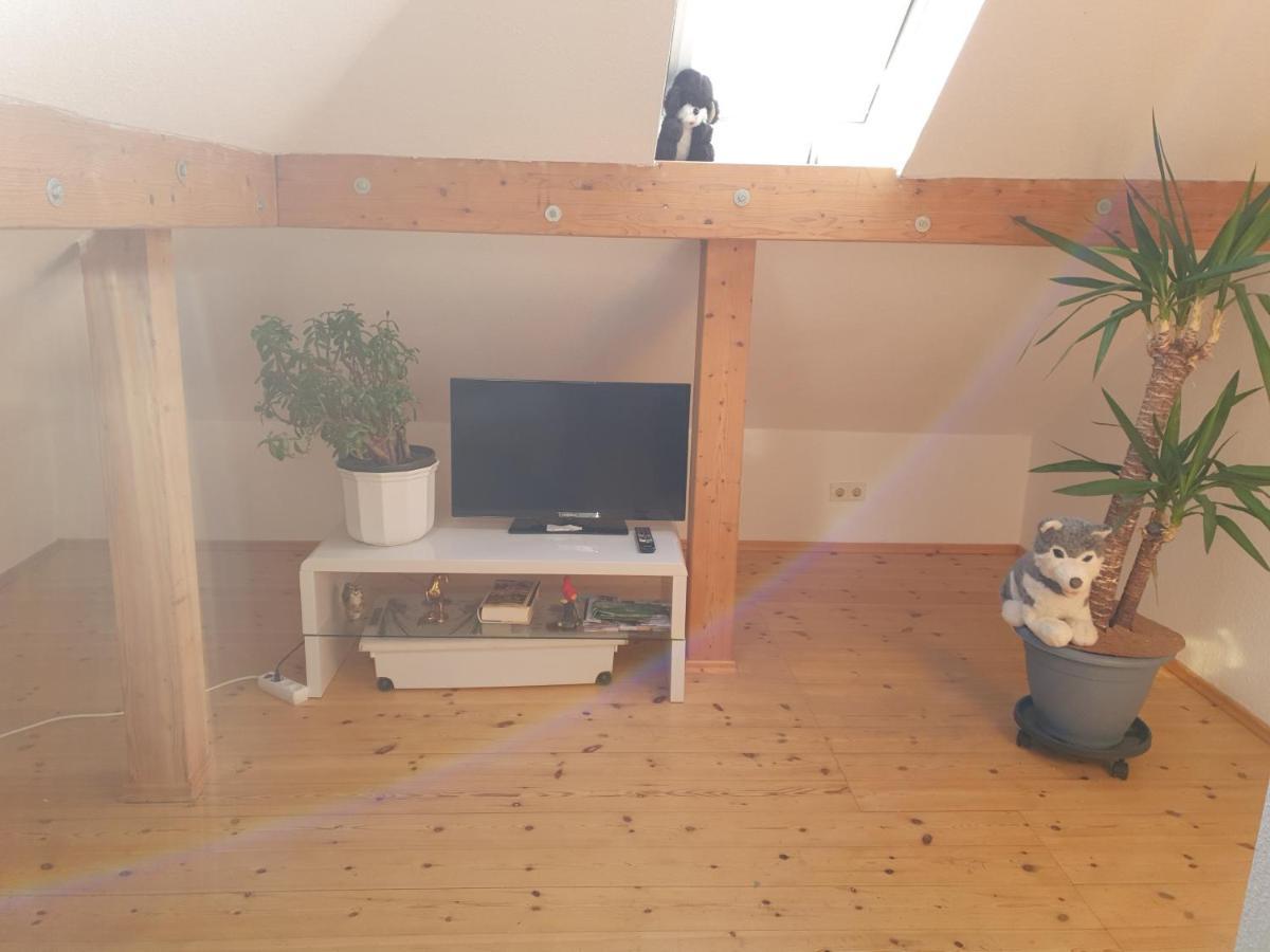 Hotel, Ferienwohnung, Zimmer Bad Driburg Zewnętrze zdjęcie